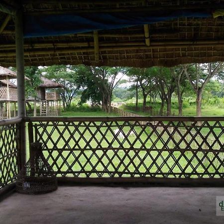 Dhansiri Eco Camp Bokākhāt Esterno foto