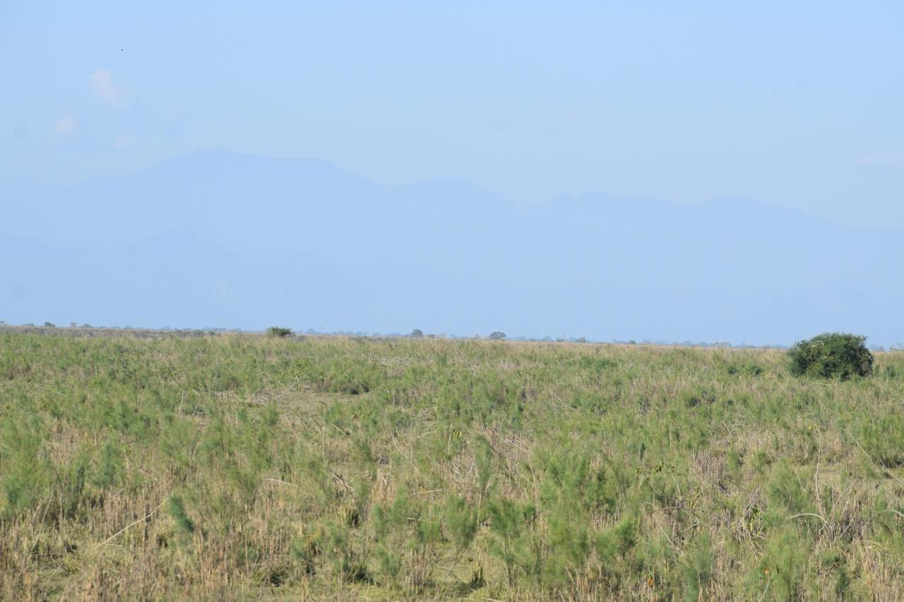 Dhansiri Eco Camp Bokākhāt Esterno foto